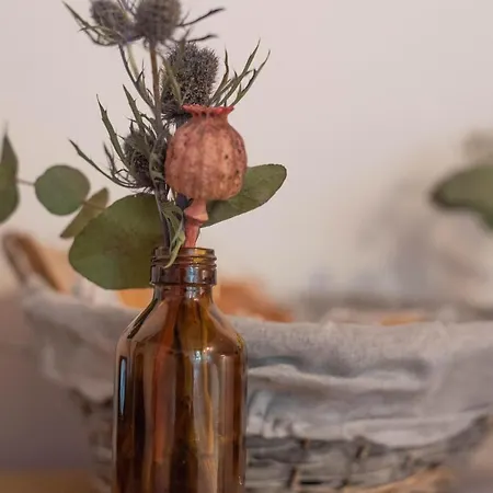 Le Di Olivia Равенна