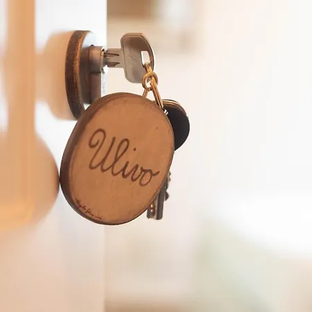 Гостевой дом Le Di Olivia