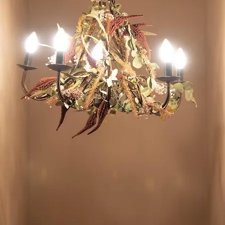 Гостевой дом Le Di Olivia 3*