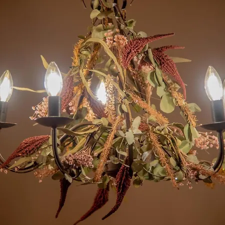 Le Di Olivia Равенна