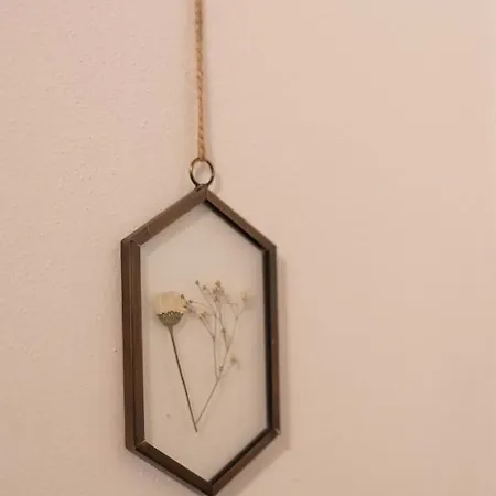 Le Di Olivia Равенна