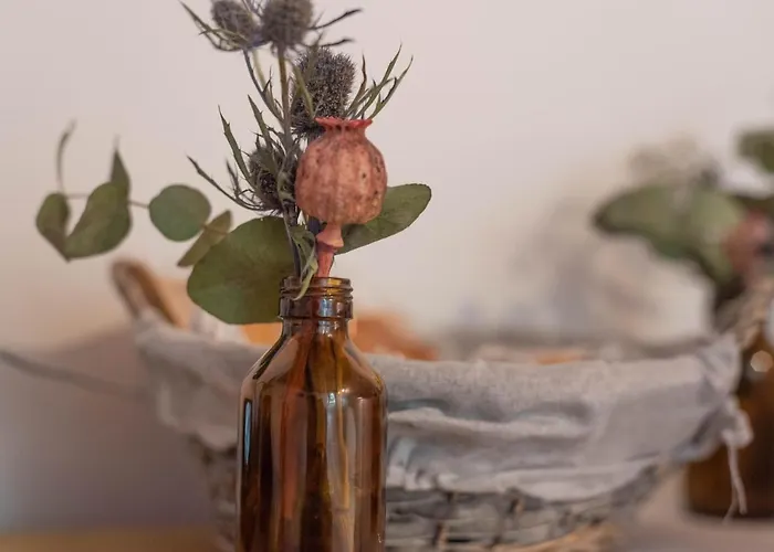 Le Di Olivia Ravenna