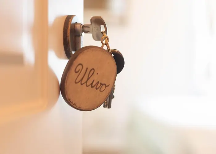 Guest house Le Di Olivia