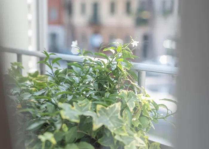 Le Di Olivia Guest house 3*