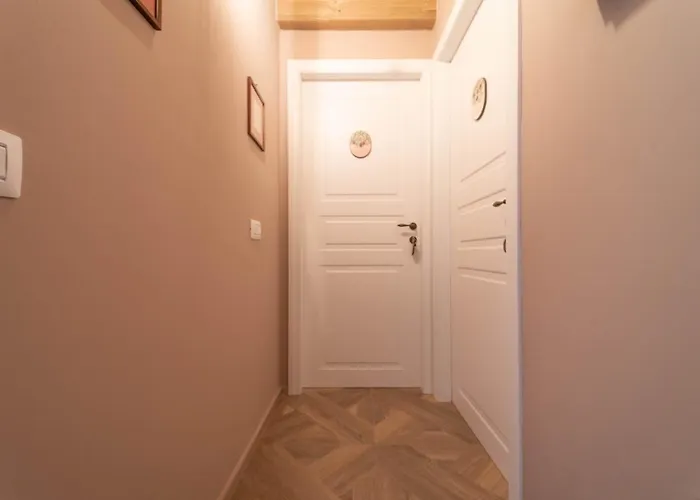 Le Di Olivia Guest house