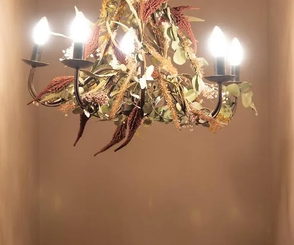 Guest house Le Di Olivia 3*