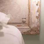 Le Di Olivia Ravenna