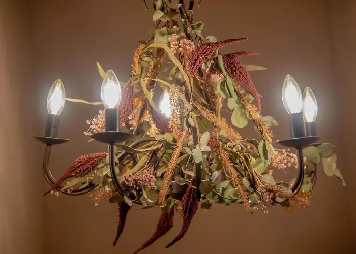 Le Di Olivia Rawenna