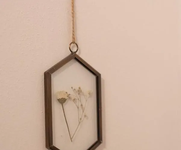 Le Di Olivia Ravenna